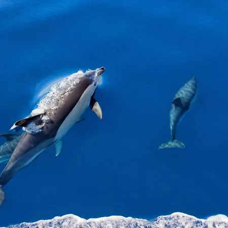 Ponta Negra