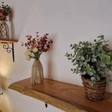 Apartment Alojamento Ponta Negra *