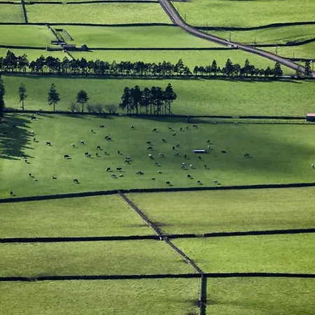 Alojamento Ponta Negra Apartment Biscoitos (Terceira)